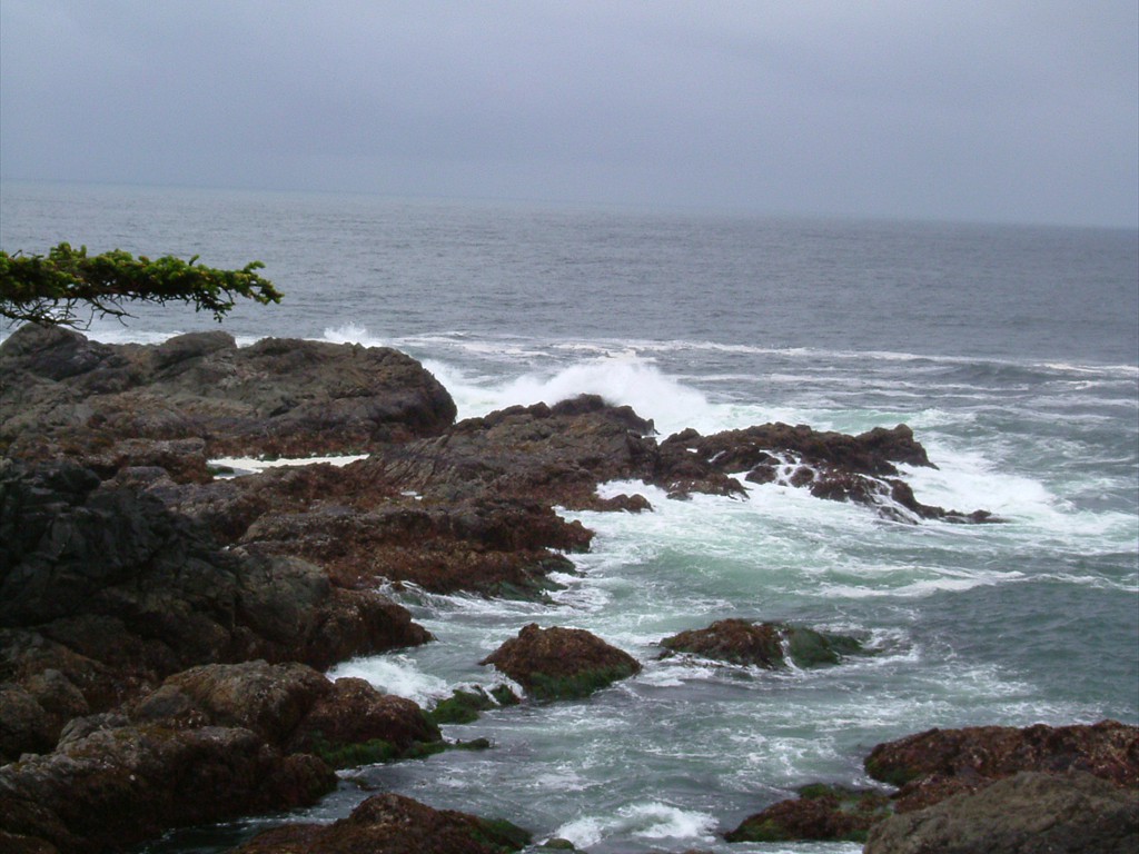 Wild Shore of Lake Superior