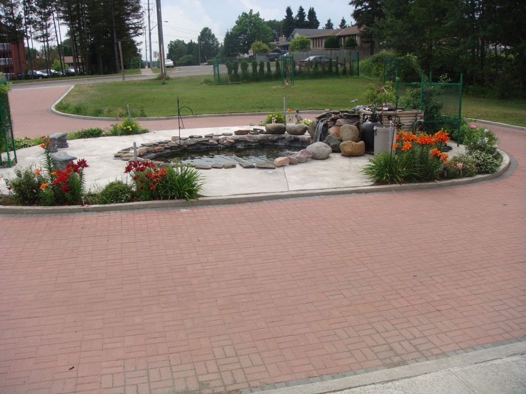 Our Pond