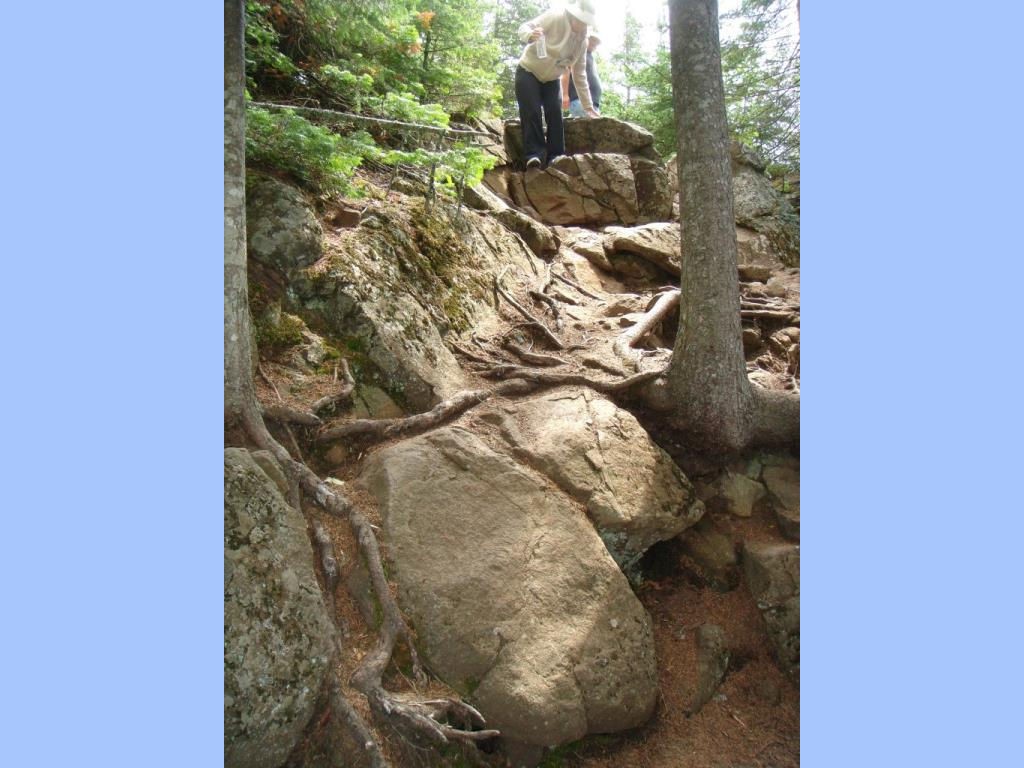 rocky points